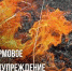 Штормовое предупреждение! Пожароопасность 4 класса - Онгудайский район